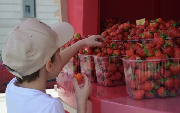 Фото: РИА Новости