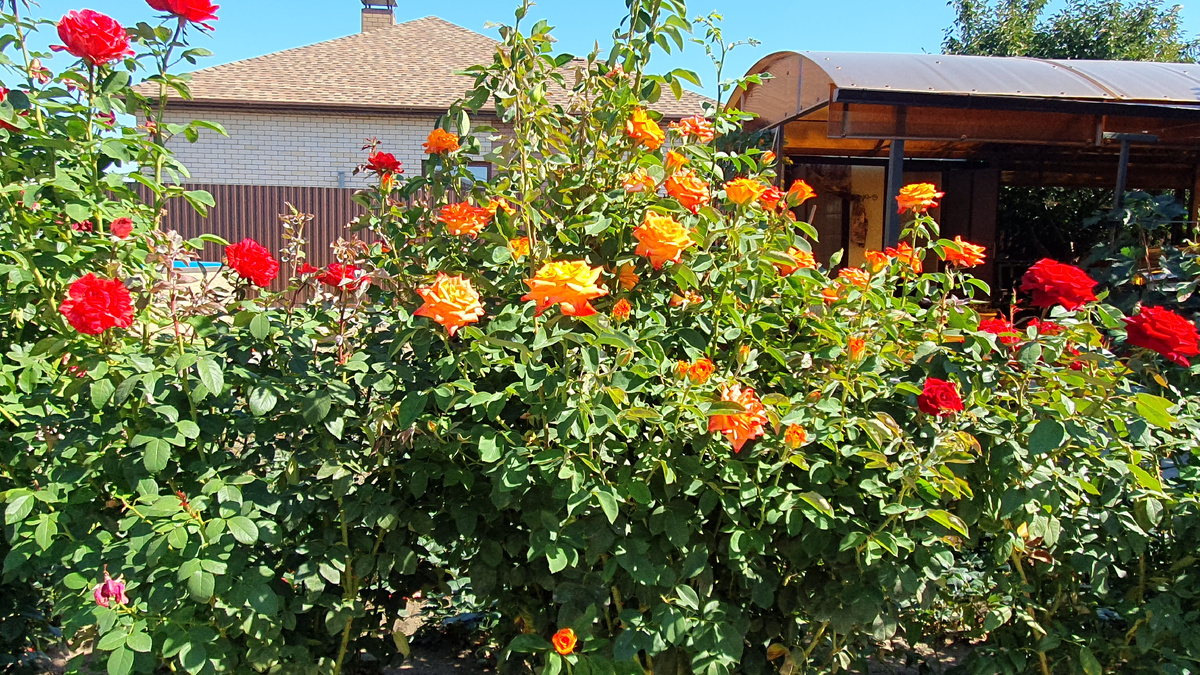 Фото из личного архива