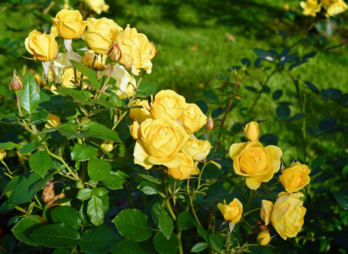 Фото из личного архива