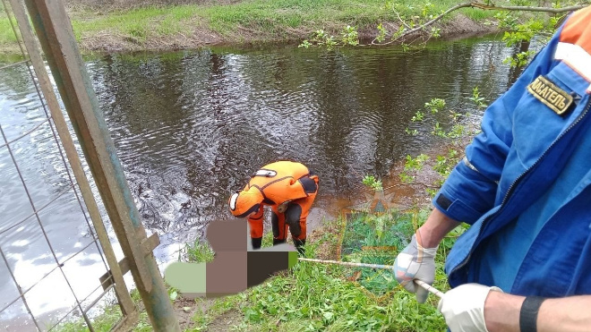 Фото: аварийно-спасательная служба Ленобласти