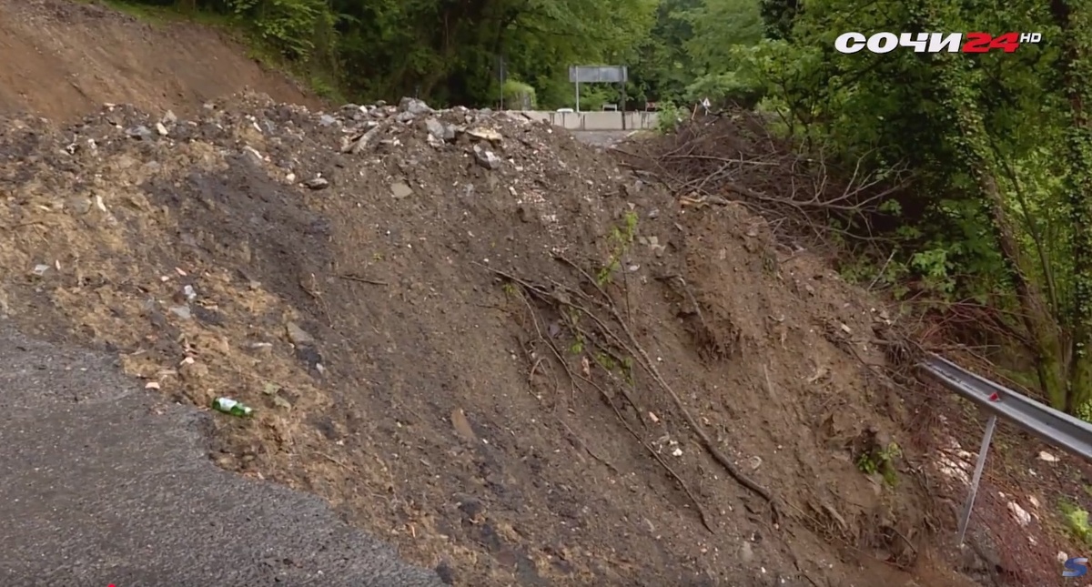 фото: Сочи 24  📷
