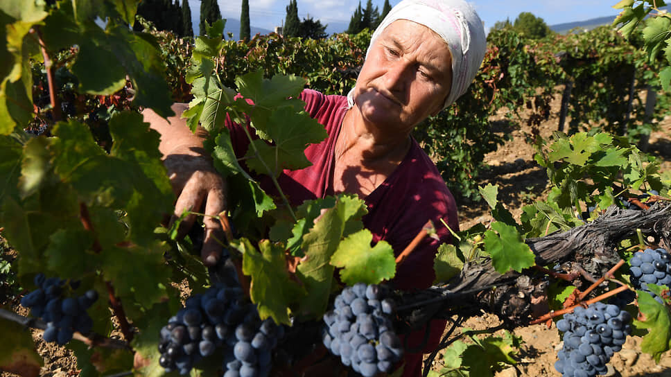 Фото: Виктор Коротаев / Коммерсантъ