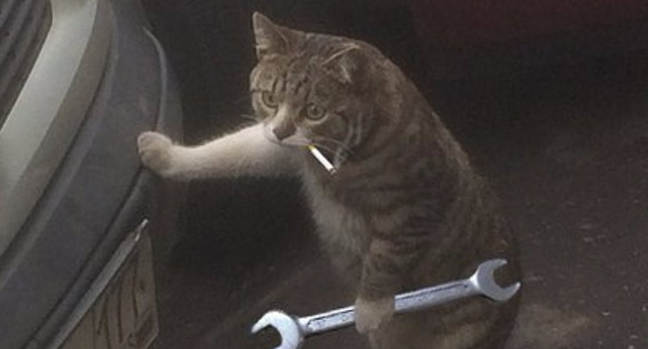 Ты купил «пушку» за 300 тысяч. Поздравляю! Теперь начинается вторая часть квеста — “Как не сдохнуть на дороге и не остаться без денег”.

