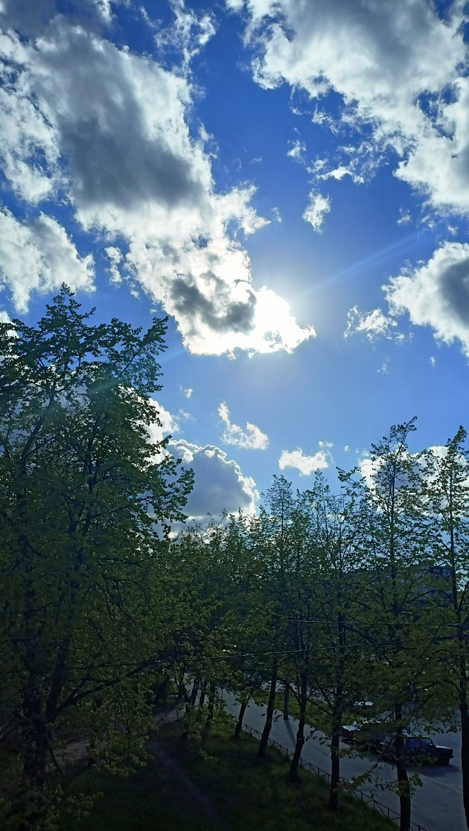 Фото автора. 17,30. СПб.