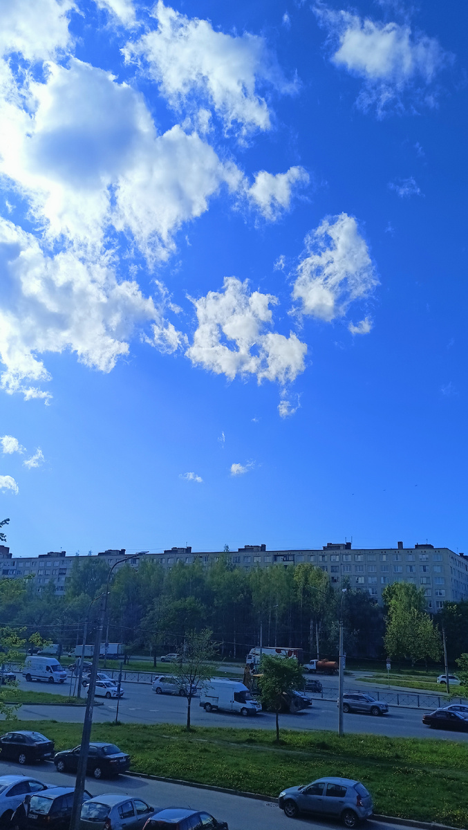 Фото автора. 17,30. СПб.