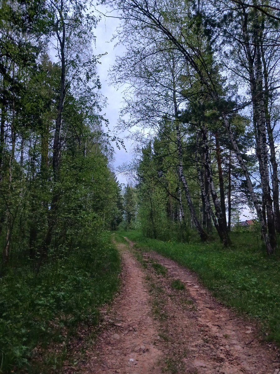 "Доброе утро, мир! Ты прекрасен!" Фото автора