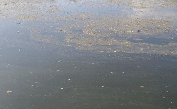    фото Курские известия