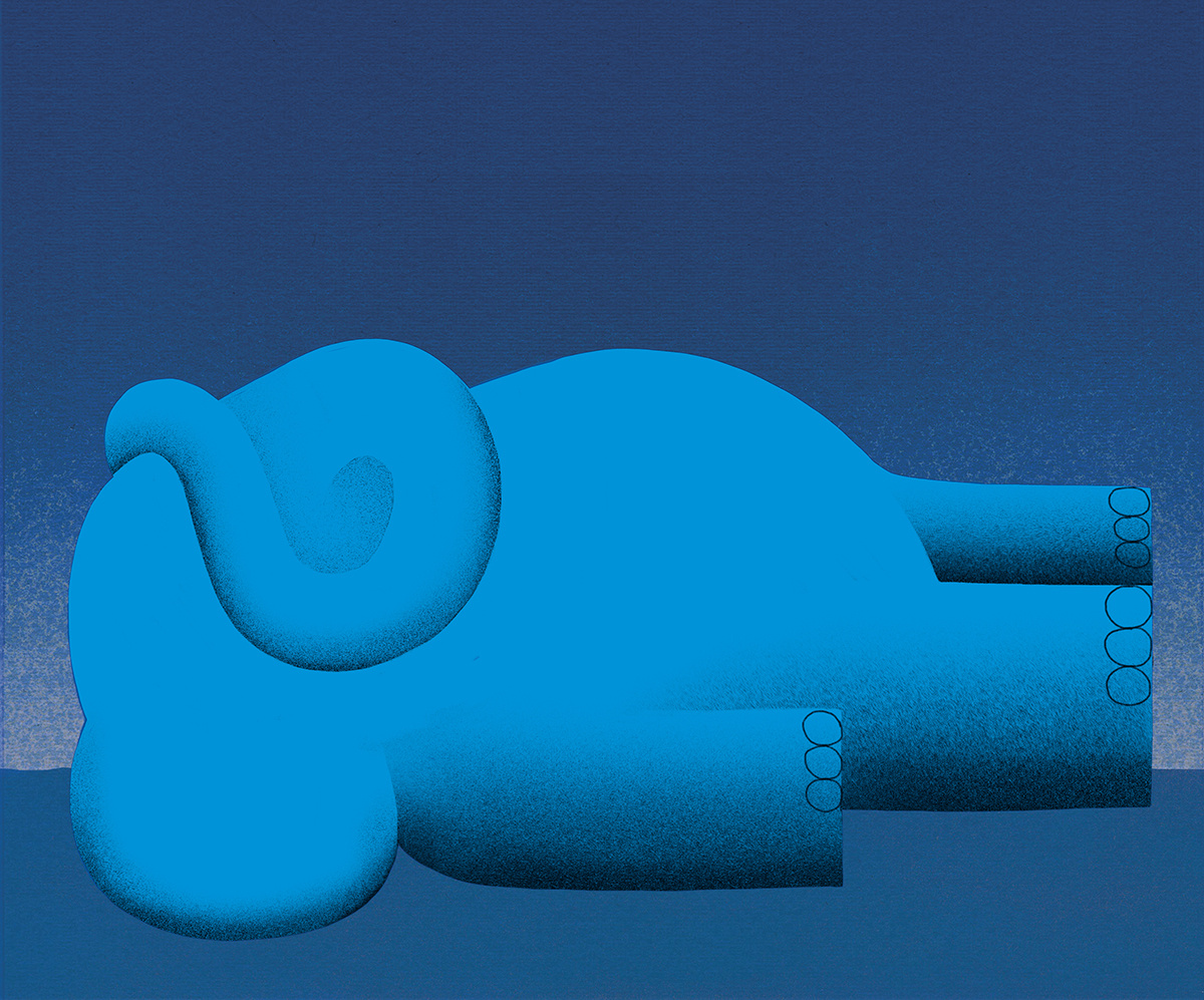 Иллюстрация Валерио Видали из книги «Слон-тень» Надин Роберт — нежная современная притча о том, что нужно, чтобы развеять наши печали.