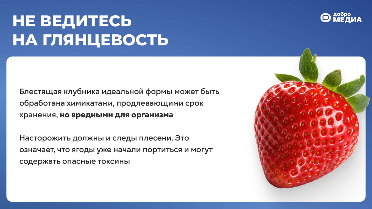    Глянцевая клубника может быть опасна. Графика: Добро.Медиа