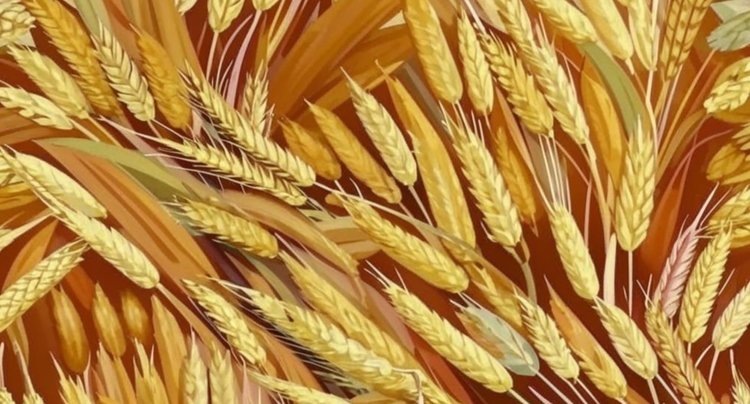    Из Татарстана в Египет отгружена вторая крупная партия пшеницы за сезон навигации