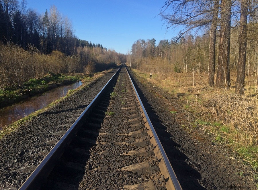 Перегон Хийтола-Алхо, 180 км 9 пк, вид в сторону Алхо. На этом месте в 1950-е - 1980-е г.г. располагался остановочный пункт «Платформа 180 км». Фото. 2018 г.