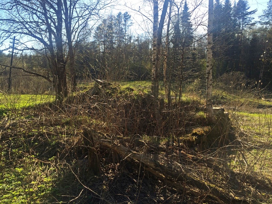 Перегон Хийтола-Алхо, 180 км 9 пк. Остатки фундамента дома путевого обходчика, построенного на рубеже XIX-XX в.в. Фото 2018 г.