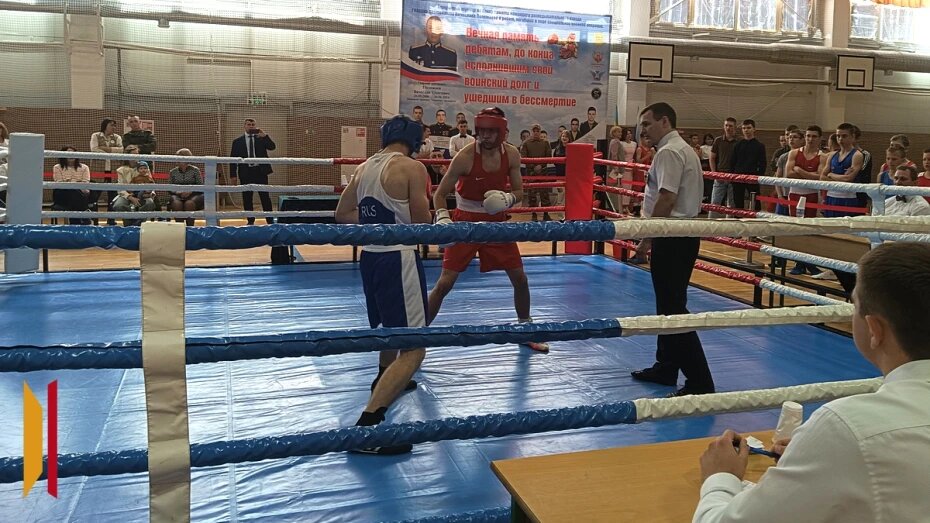    Автор фото: Татьяна Несенюк