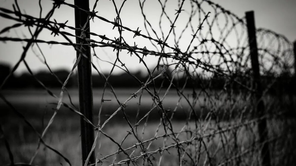    Сгенерировано ИИ