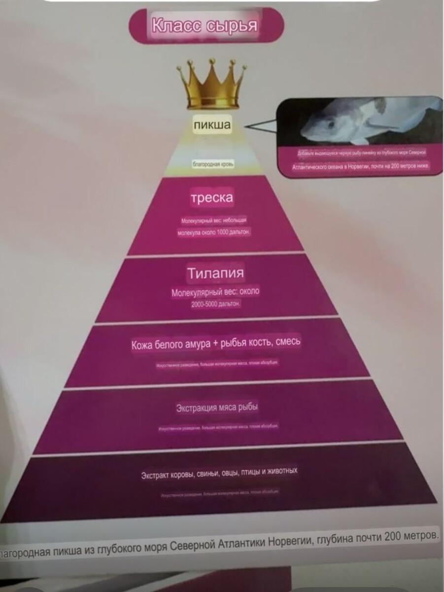 фото из личного архива