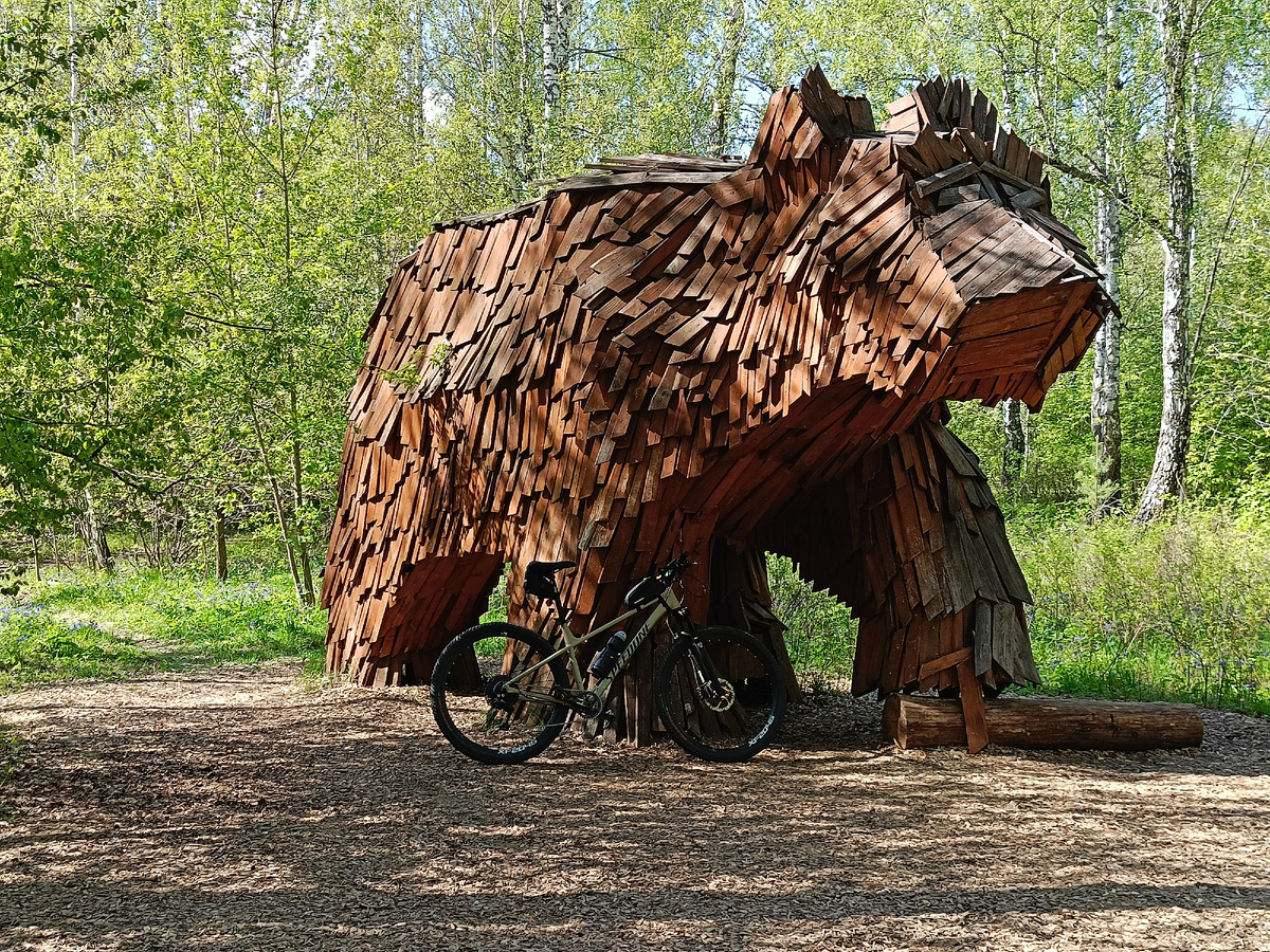 Велосипед и медведь