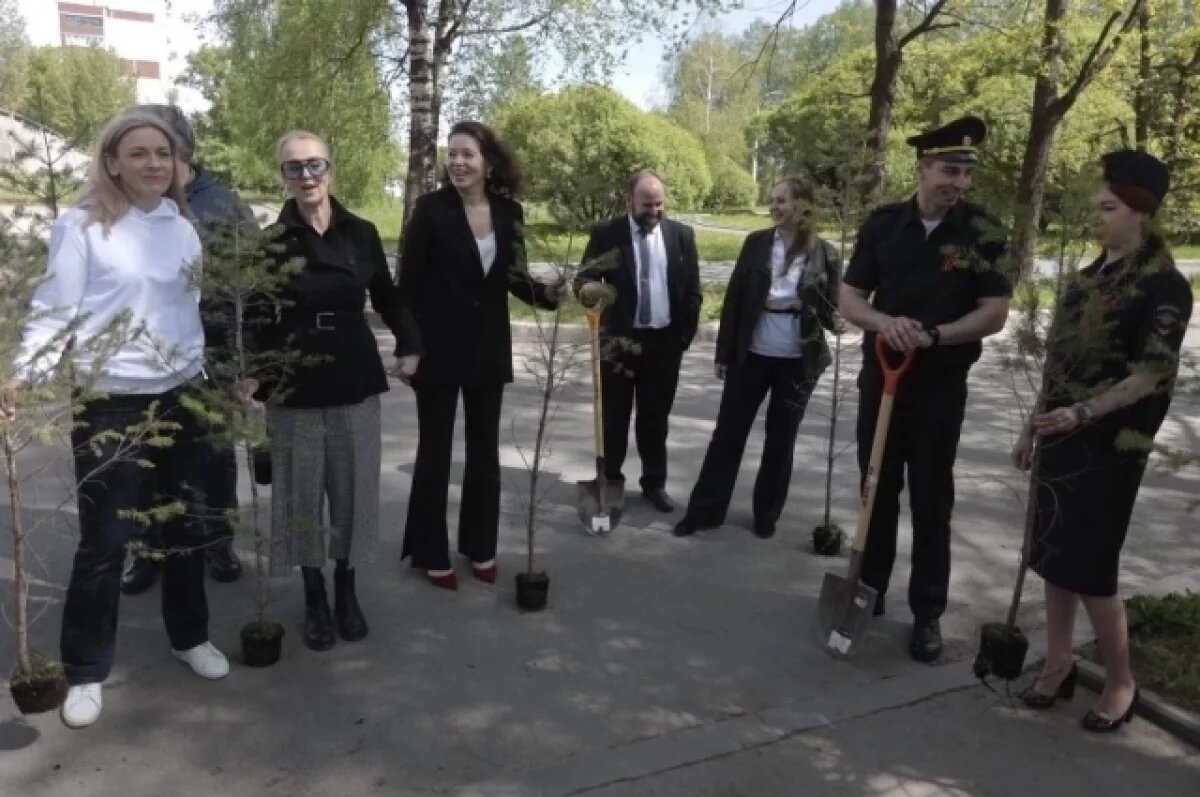    Аллея доблести и славы журналистов появилась в Пскове