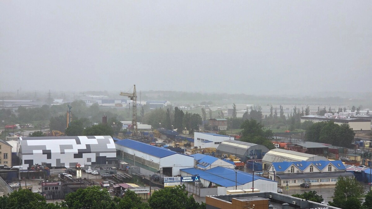     Автор: KubanPress