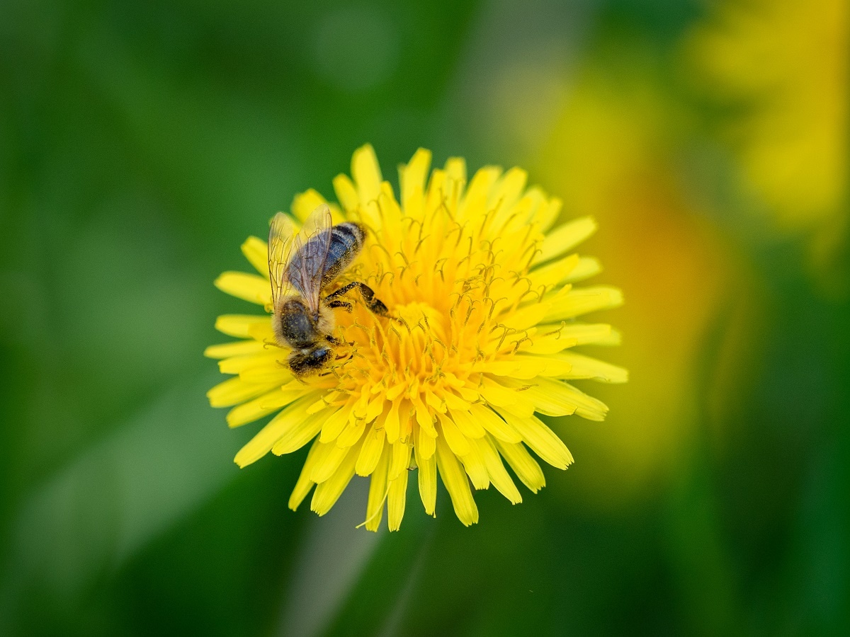 Фото: Александр Плонский / «Агроэксперт»