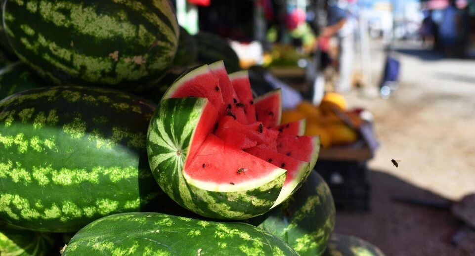    РИА «Новости»