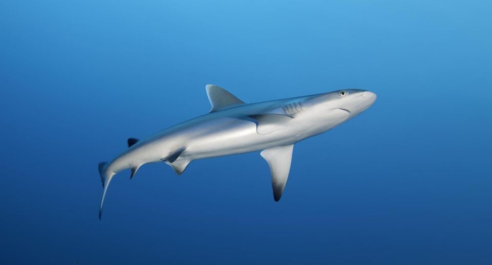    Norbert Probst / www.globallookpress.com