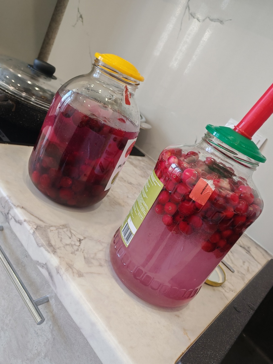 Настойки на клюкве и вишне. Еще бруснику тоже поставил.