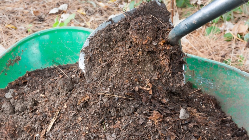Осенняя подготовка грядки - основа будущего урожая