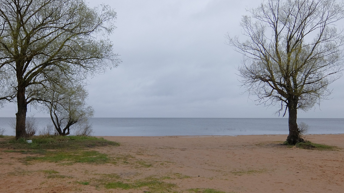 Ильмень-озеро. Берегов не видно..