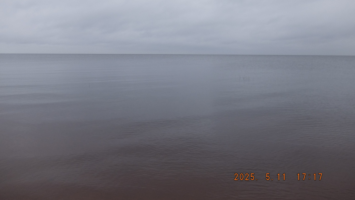 Прямо целое море