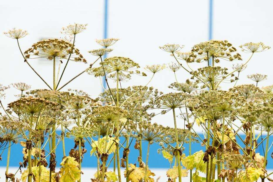    Сергей Петров/NEWS.ru