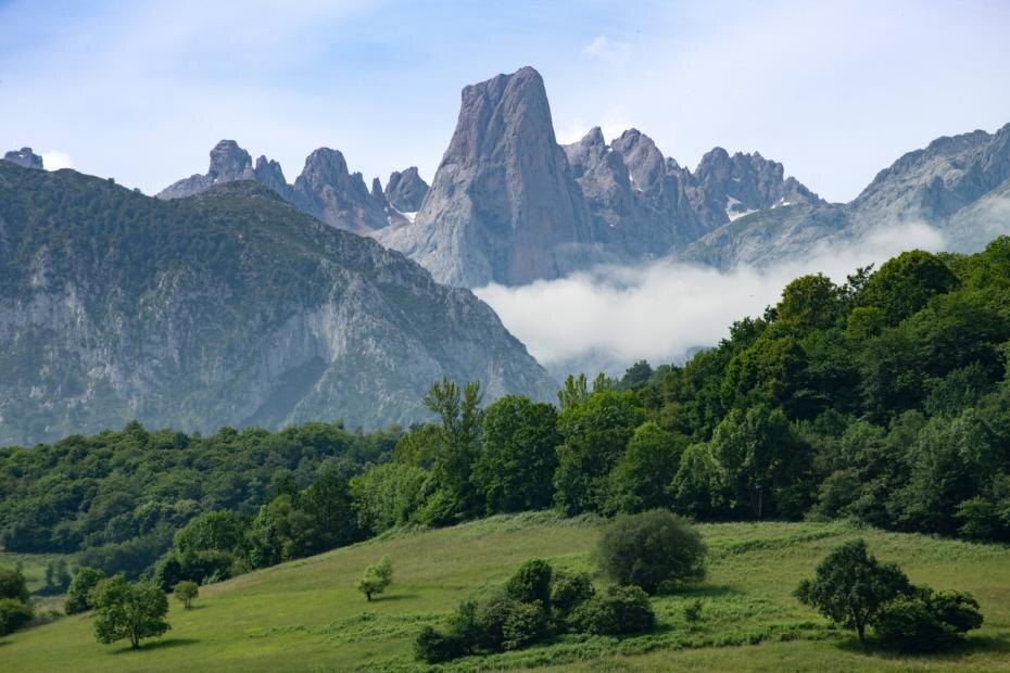    IMAGO/Margit Wild/Global Look Press