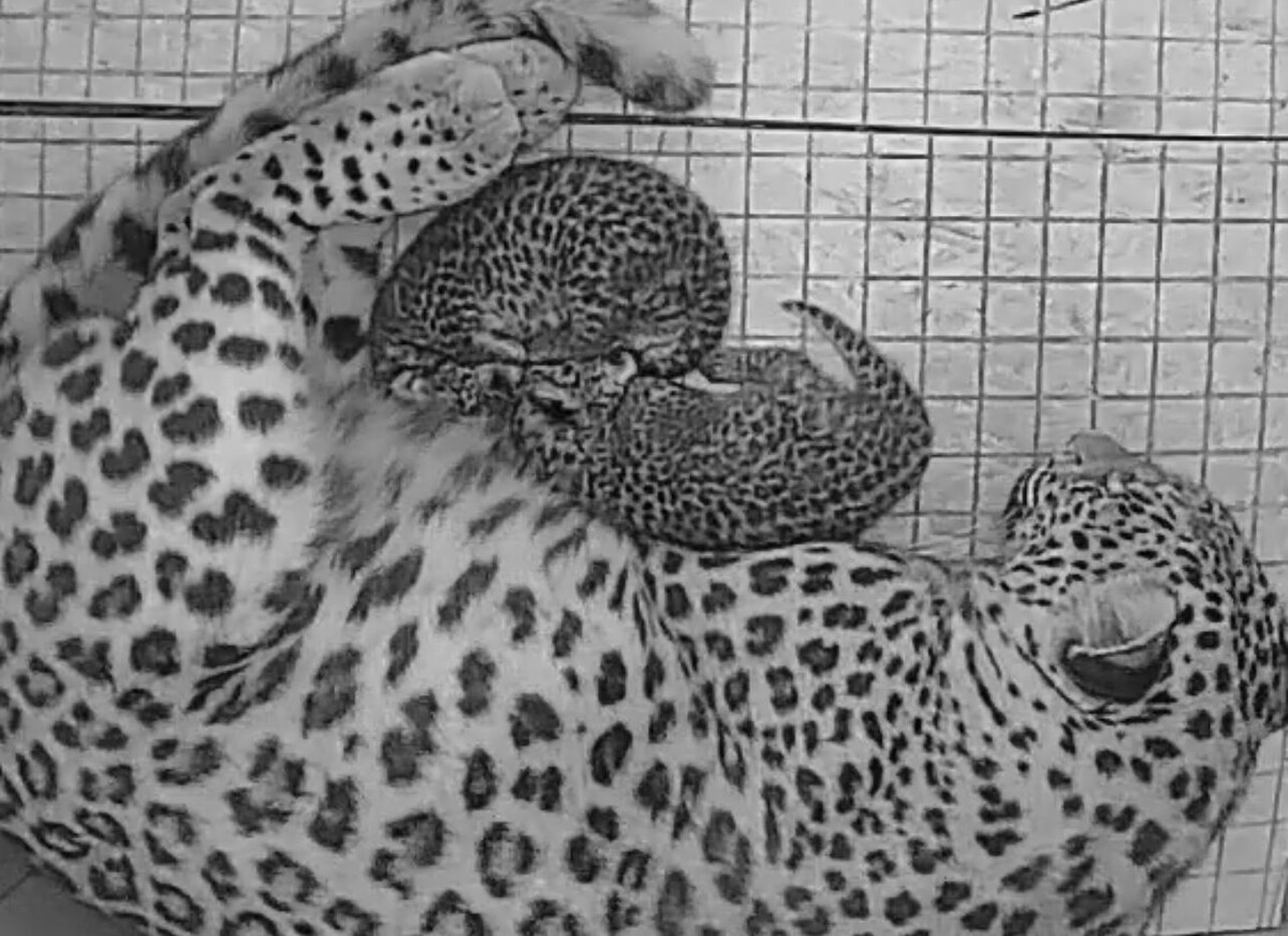 Фото: Сочинский национальный парк