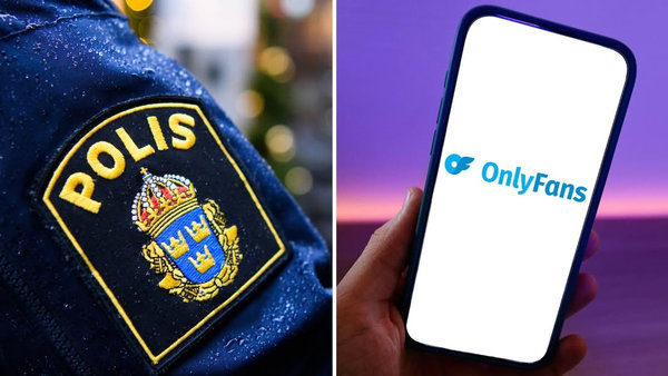    В Швеции ввели запрет на дистанционный секс