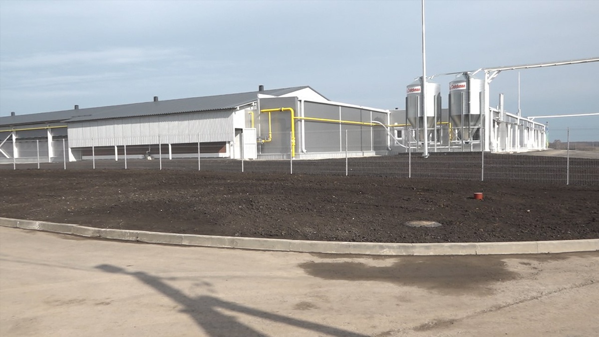 Источник: https://sdelanounas.ru