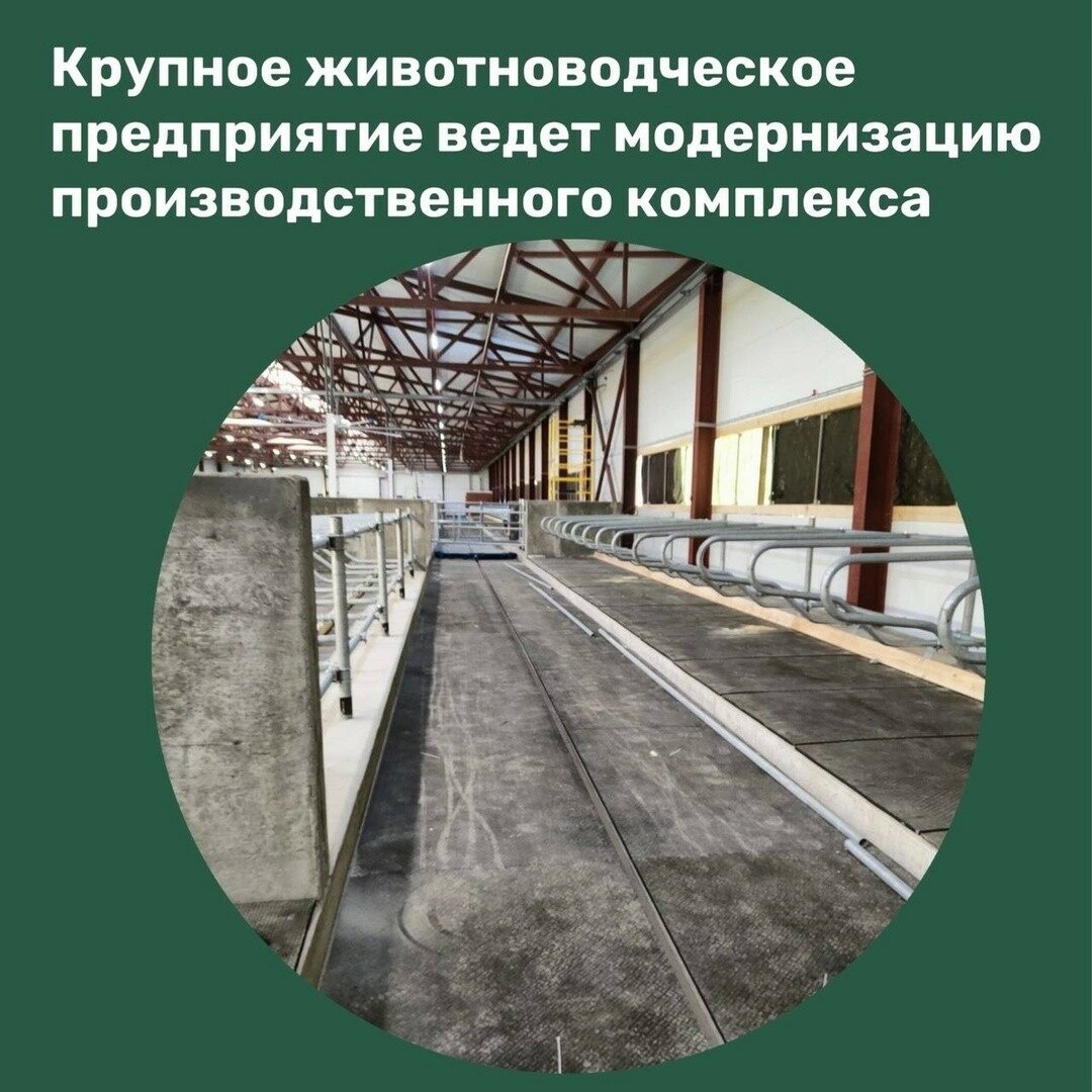 Источник: https://sdelanounas.ru