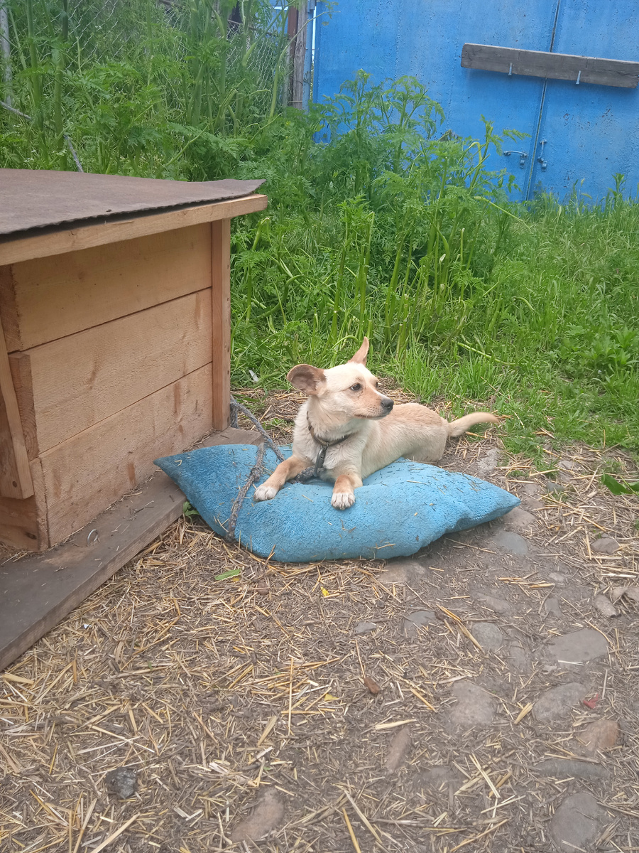 Сегодня фотографировала)