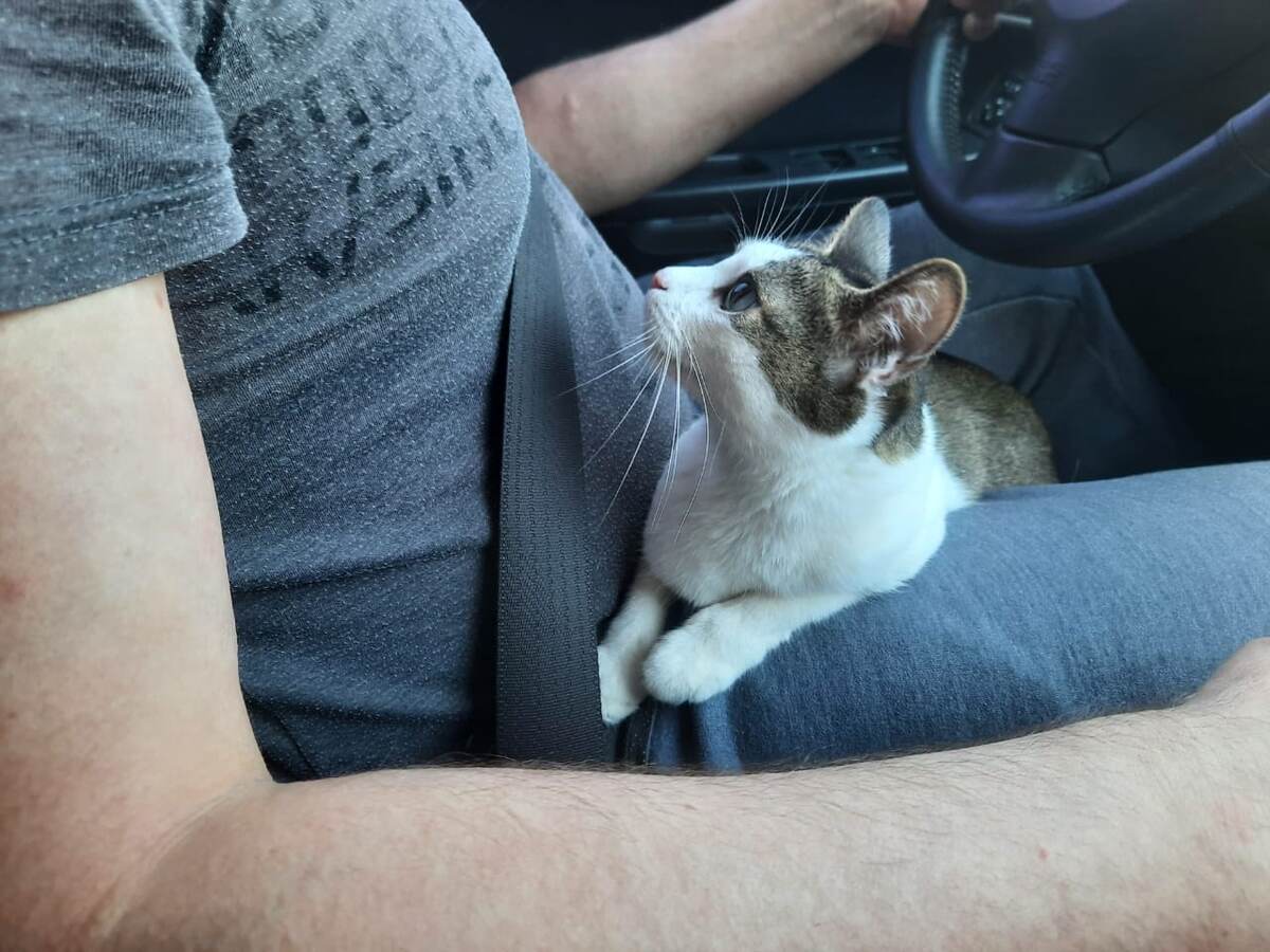 За рассадой в пути следил главный агроном – на фото