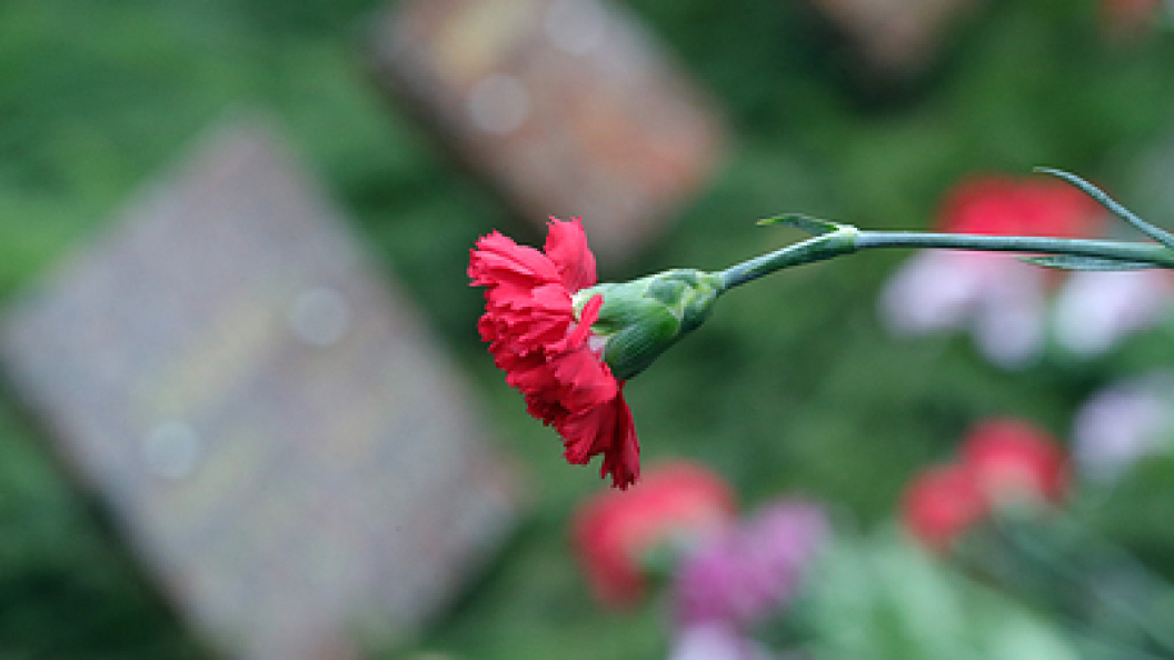    Pavlo_bagmut/Globallookpress