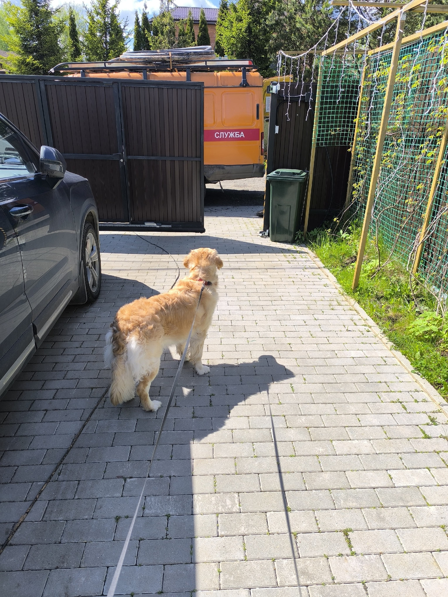 Ларси тоже очень удивлена.