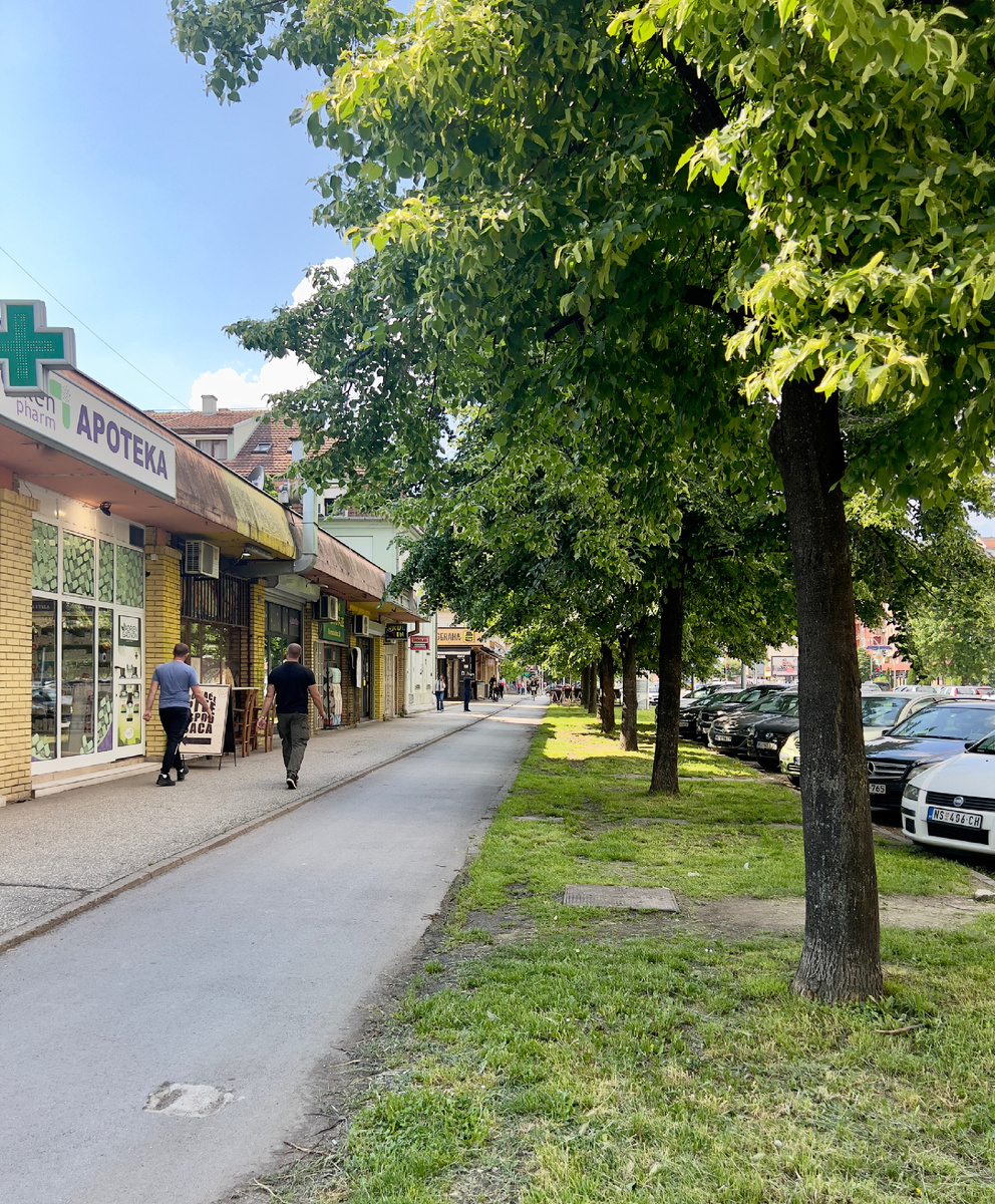 К обеду распогодилось и выглянуло солнце