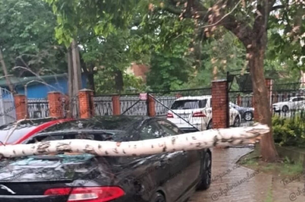    Деревья упали на машины в нескольких районах Краснодара из-за непогоды