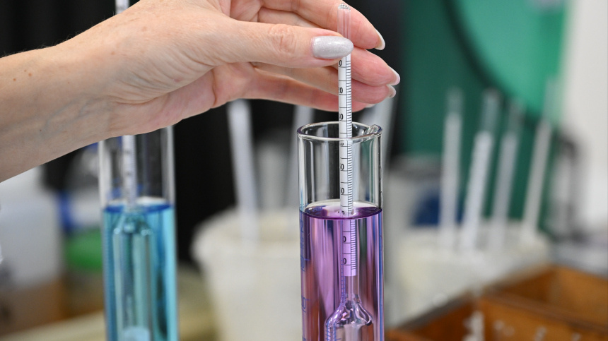    Фото: © РИА Новости/Константин Михальчевский