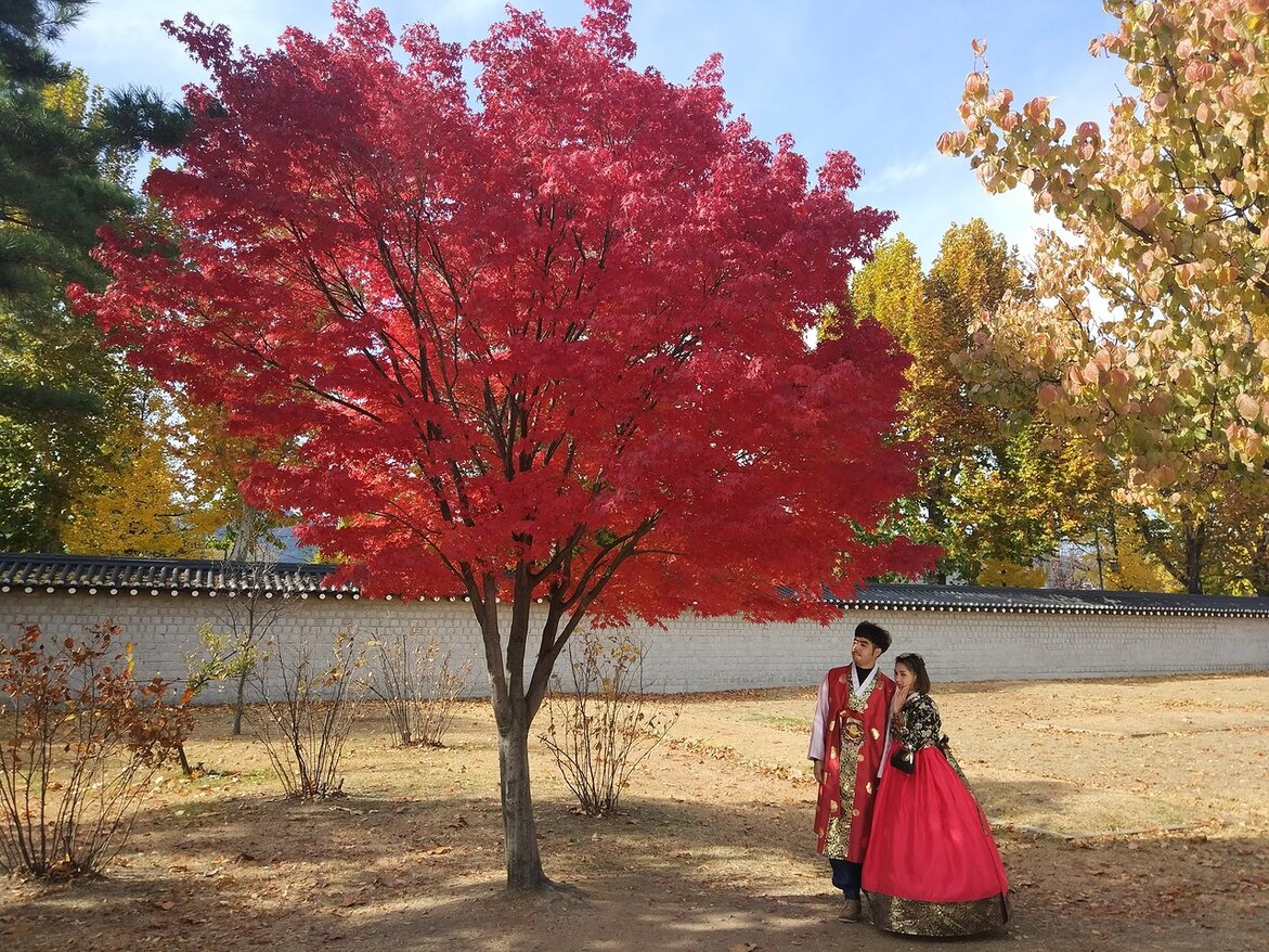 Молодожены в корейских национальных костюмах в парке у дворца Генбокгун.