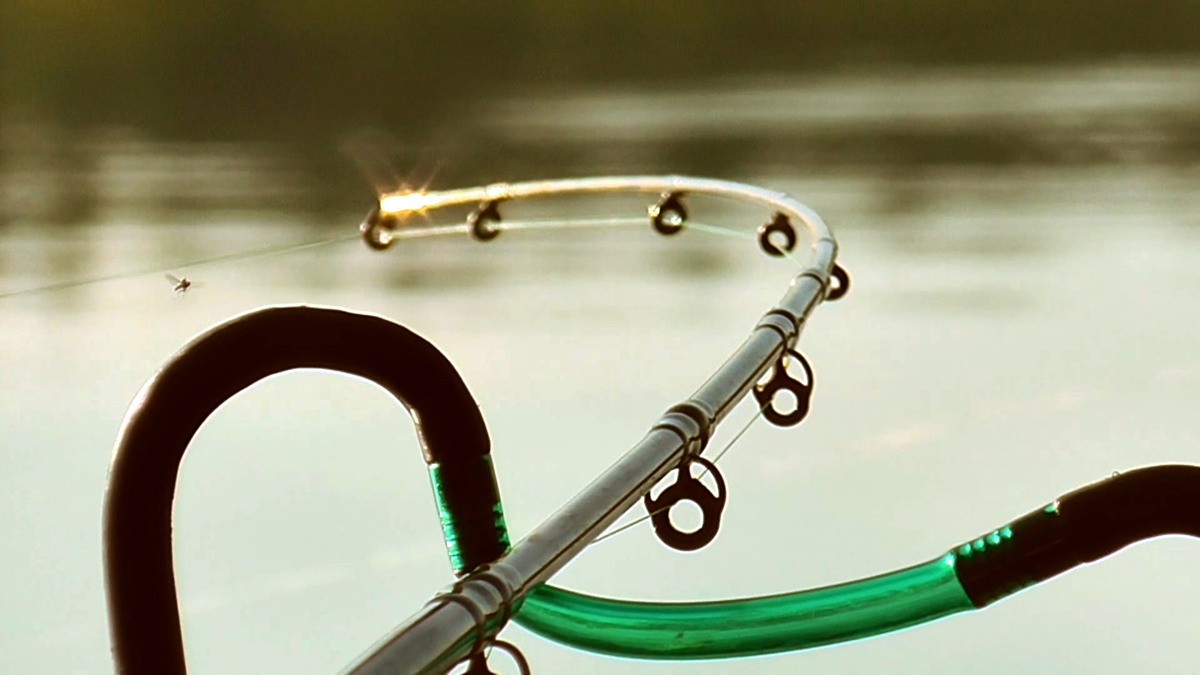 Фото с сайта: https://a.d-cd.net/E6AAAgBiquA-1920.jpg