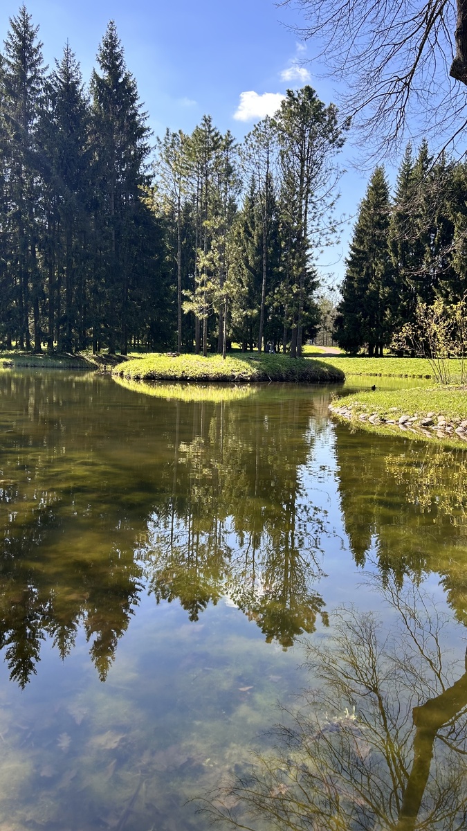 Великолепная природа в парке 