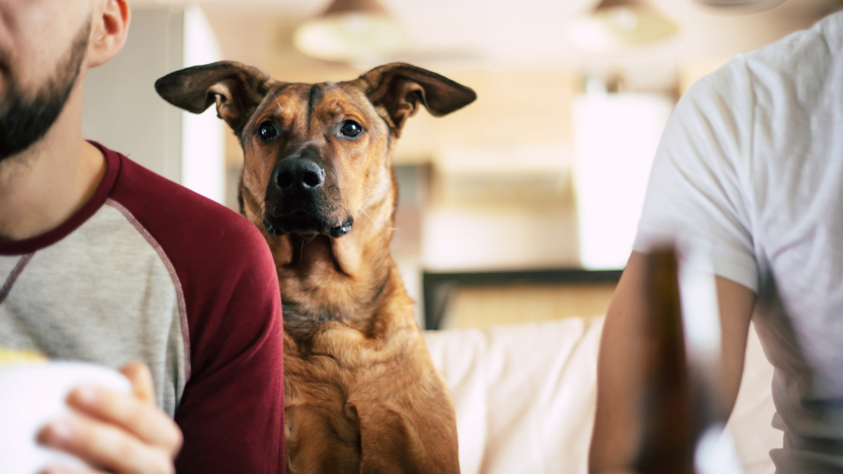 Главное, чтобы контент был годным. Да? Фото Povozniuk/iStock