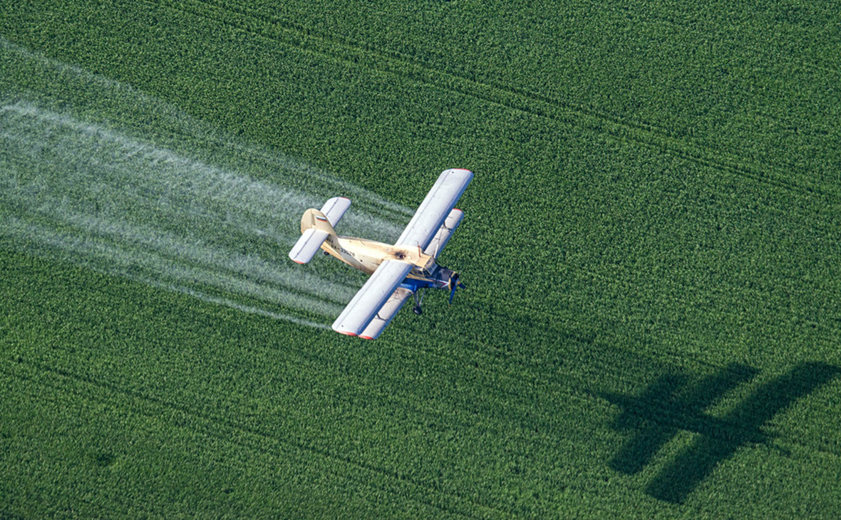 ПОЧЕМУ КЛЕЩЕЙ ИЗ ГОДА В ГОД ВСЁ БОЛЬШЕ И БОЛЬШЕ?!
