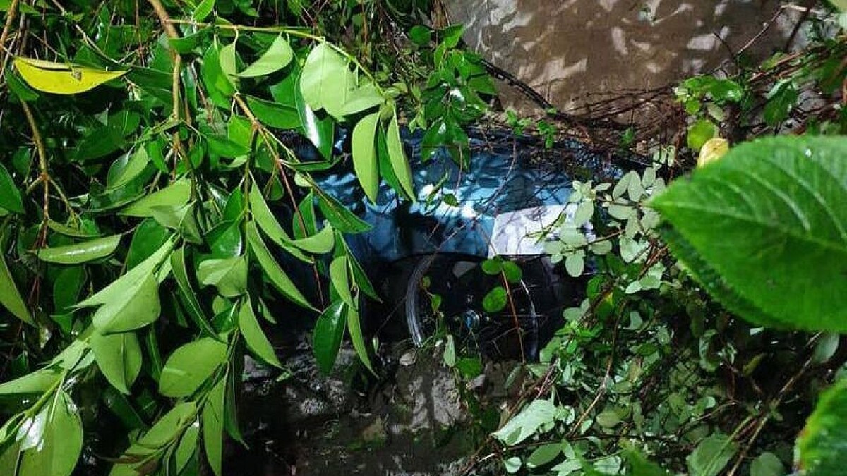    Фото: t.me/mingochskk