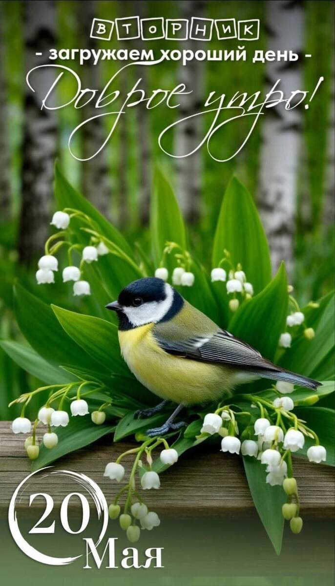 Фото из интернета 