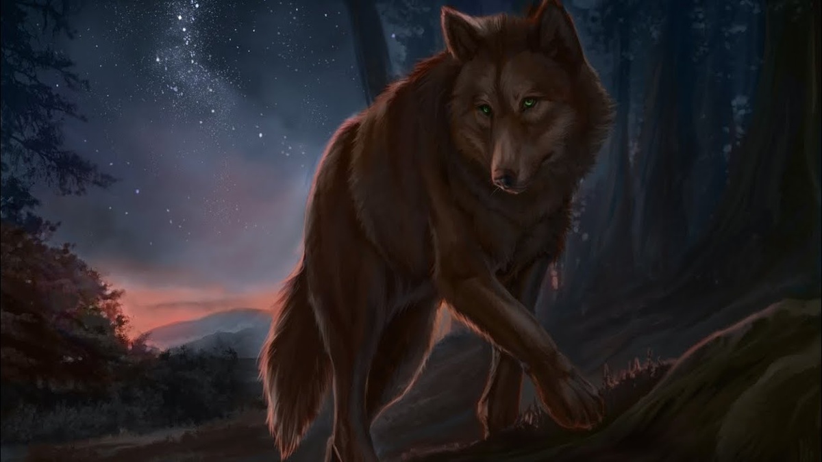 фото из интернета